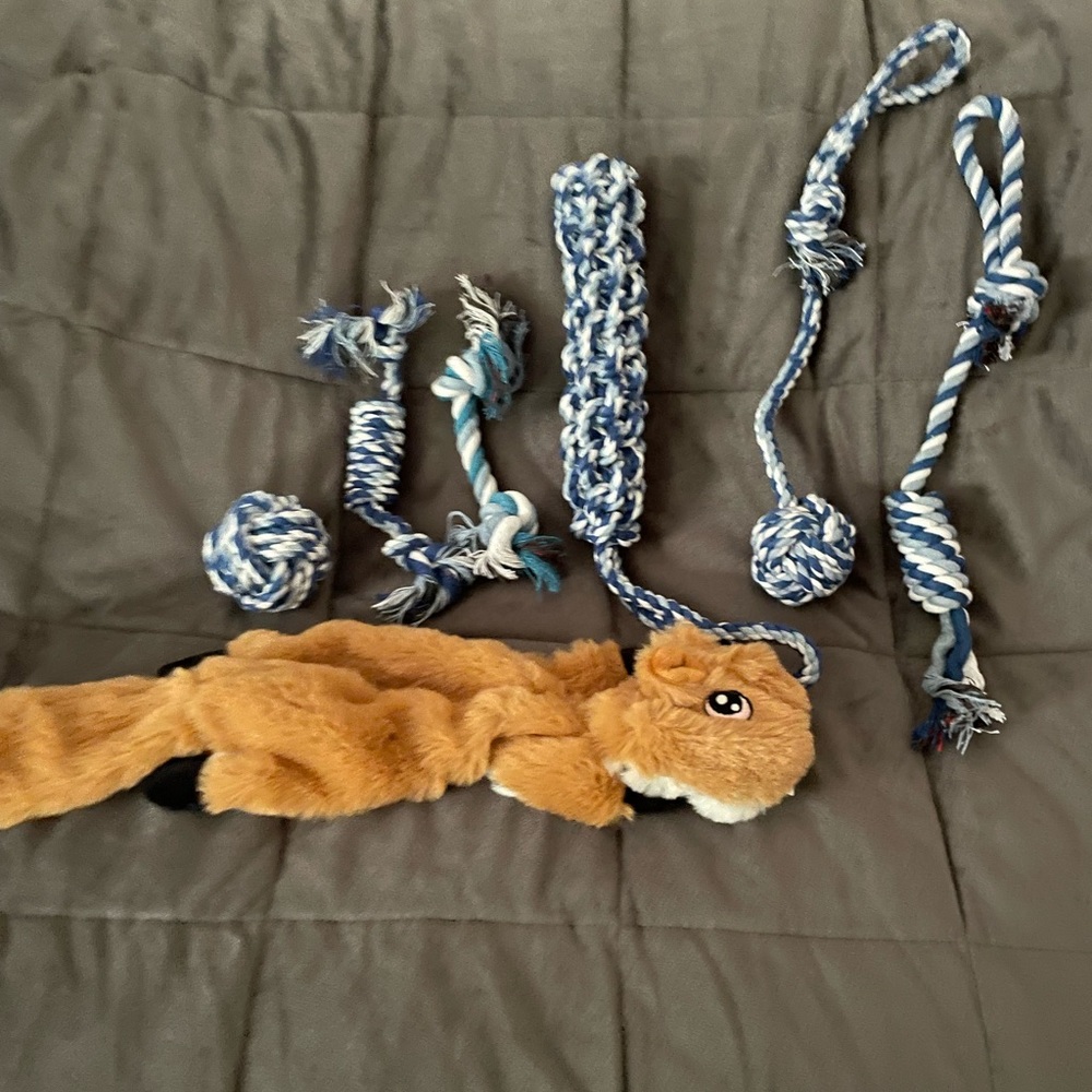 Seven piece dog toy set
